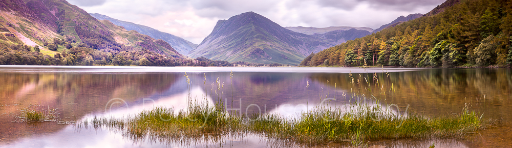 Buttermere grass 2